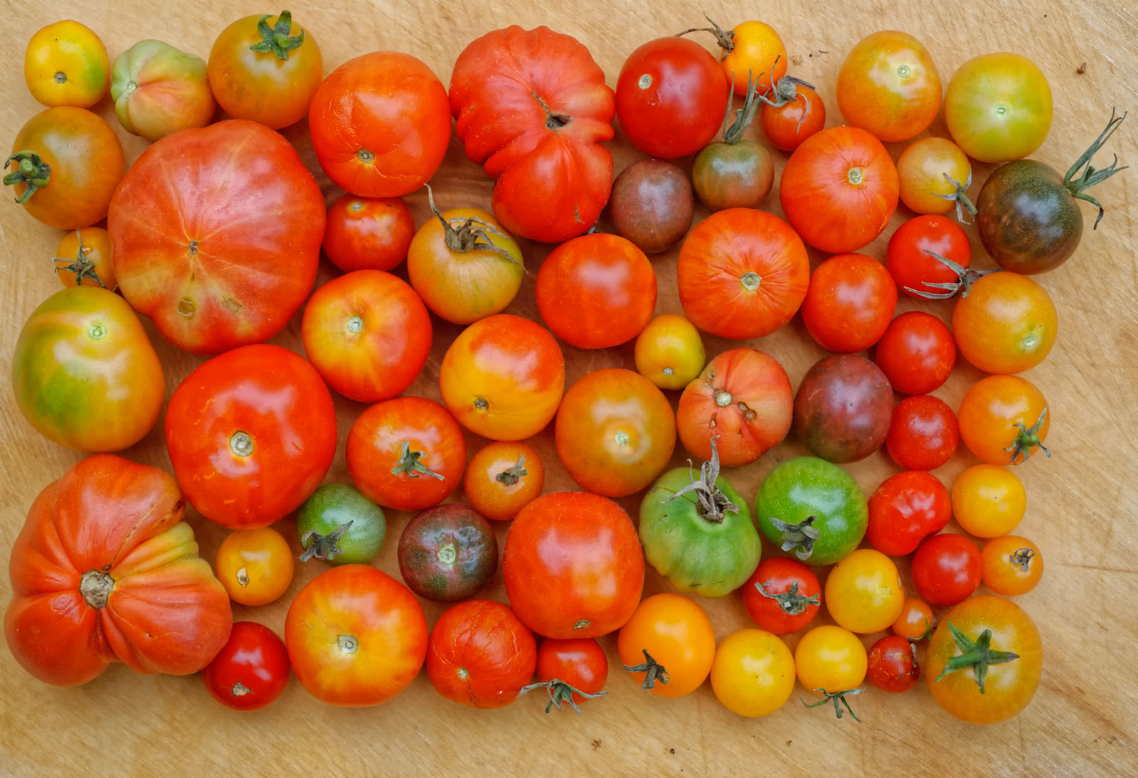 You don't take photograph, you make it